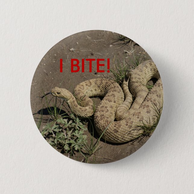 Badge Rond 5 Cm Serpent à sonnettes de prairie R6 (Devant)