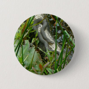 Badge Rond 5 Cm Serpent d'eau du Nord reposant sur le journal de p