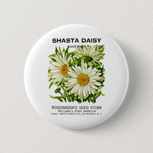 Badge Rond 5 Cm Shasta Daisy Vintage semis