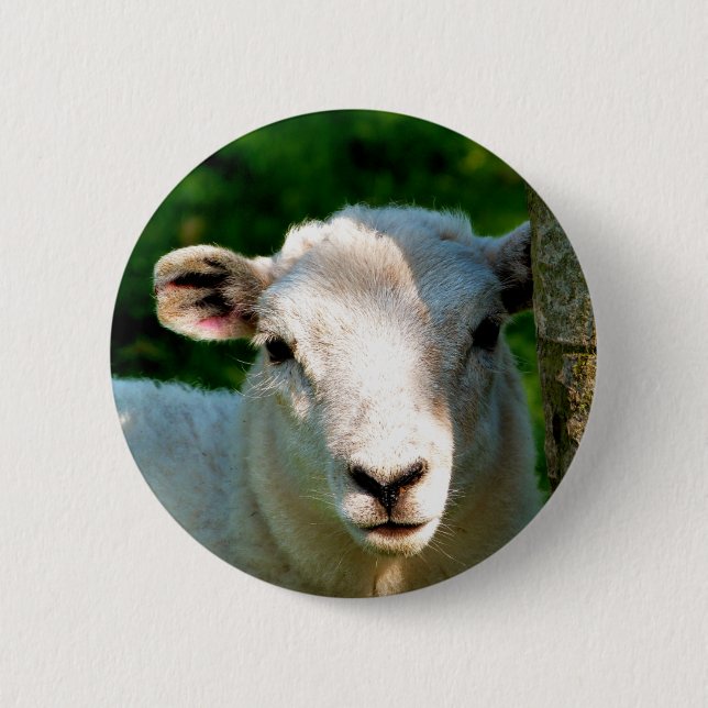 BADGE ROND 5 CM SHEEP (Devant)