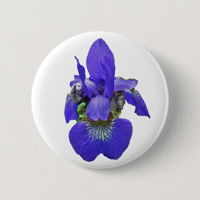 Badge Rond 5 Cm Sibérie Iris Coordonner les éléments (Devant)
