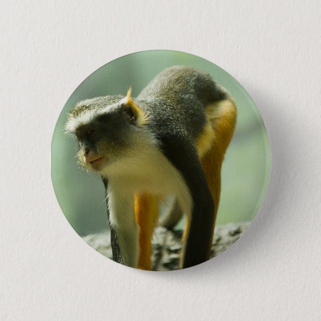 Badge Rond 5 Cm Singe (Devant)