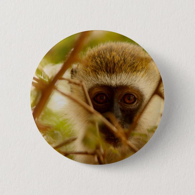 Badge Rond 5 Cm Singe effronté. (Devant)