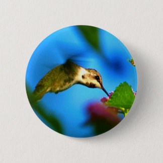 Badge Rond 5 Cm Siroter de colibri