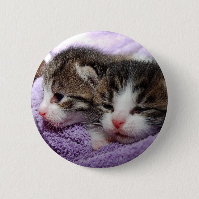 Badge Rond 5 Cm Sleepy kittens (Devant)