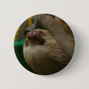 Badge Rond 5 Cm Sloth