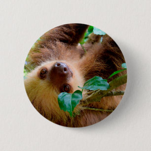Badge Rond 5 Cm Sloth baby