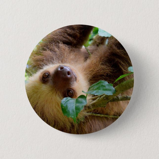 Badge Rond 5 Cm Sloth baby (Devant)