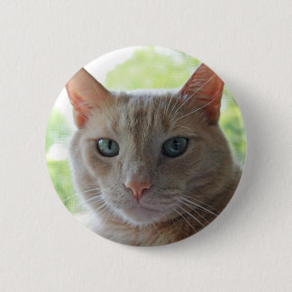 Badge Rond 5 Cm Soleil Kitty