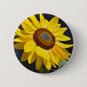 Badge Rond 5 Cm Solfette jaune