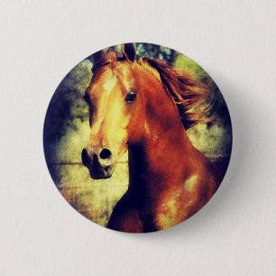 Badge Rond 5 Cm Sorrel Arabian