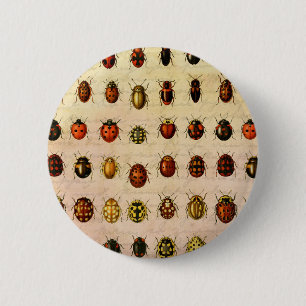 Badge Rond 5 Cm Spécimen de coccinelle vintage Motif Insecte antiq