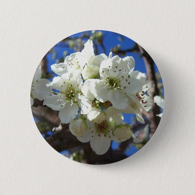 Badge Rond 5 Cm Spring Flowering Pear Tree (Devant)