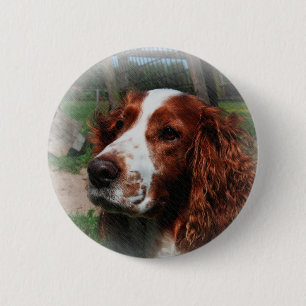 Badge Rond 5 Cm Springer Spaniel Chien Art