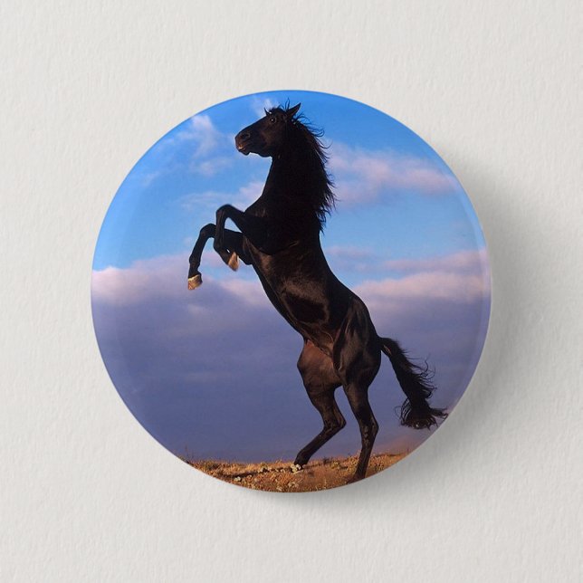 Badge Rond 5 Cm Stallion noir (Devant)
