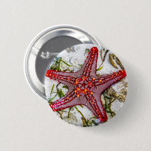 Badge Rond 5 Cm Starfish, Zanzibar, Tanzanie
