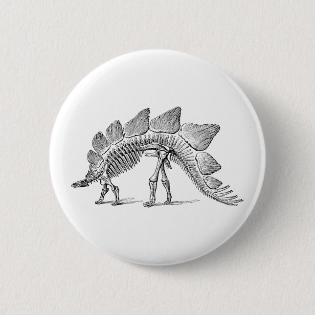 Badge Rond 5 Cm Stegosaurus Dinosaure Squelette Fossile (Devant)