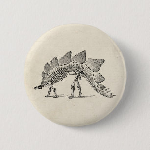 Badge Rond 5 Cm Stegosaurus Dinosaure Squelette Fossile