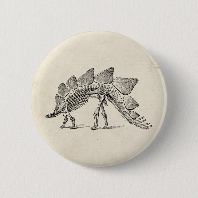 Badge Rond 5 Cm Stegosaurus Dinosaure Squelette Fossile (Devant)