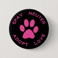 Stérilisez le neutre adoptent l'amour