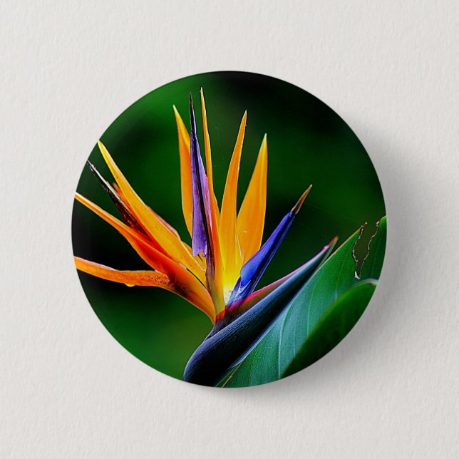 Badge Rond 5 Cm Strelitzia. Oiseau de fleur de paradis (Devant)