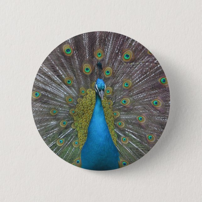 Badge Rond 5 Cm Stunning (Devant)