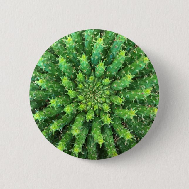 Badge Rond 5 Cm Succulent de cactus de vert de méduse d'euphorbe (Devant)