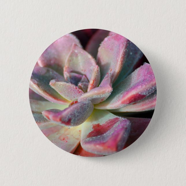 Badge Rond 5 Cm Succulent rose (Devant)