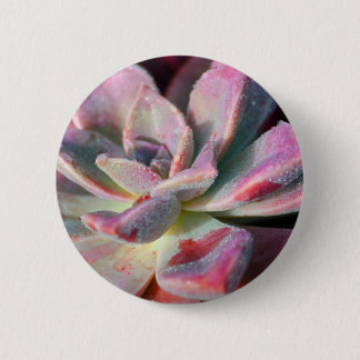 Badge Rond 5 Cm Succulent rose