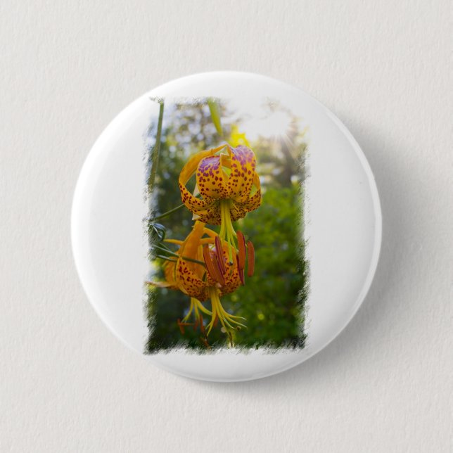 Badge Rond 5 Cm Sunburst de Humboldt Lilies (Devant)