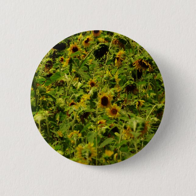 Badge Rond 5 Cm Sunflower field (Devant)
