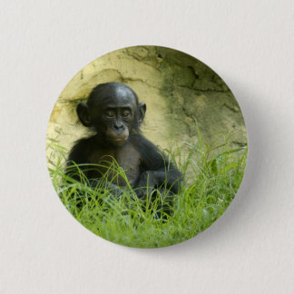 Badge Rond 5 Cm Sup ? Photo de DArcy Evans