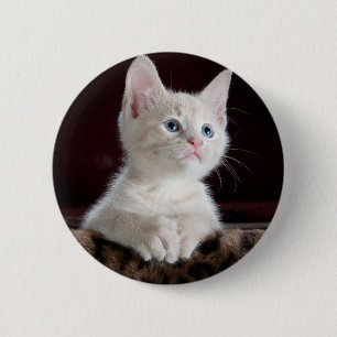 Badge Rond 5 Cm Super mignon Kitten blanc