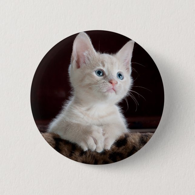 Badge Rond 5 Cm Super mignon Kitten blanc (Devant)