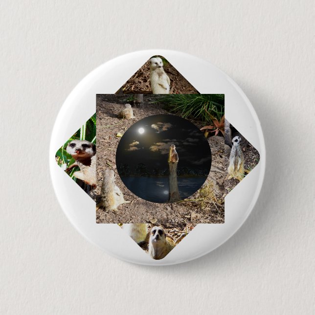 Badge Rond 5 Cm Suricate Polyscope,  (Devant)