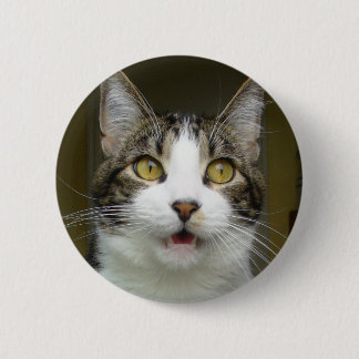 Badge Rond 5 Cm Syrus a choqué le bouton 0001