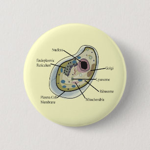 Badge Rond 5 Cm T-shirts de biologie de cellule humaine