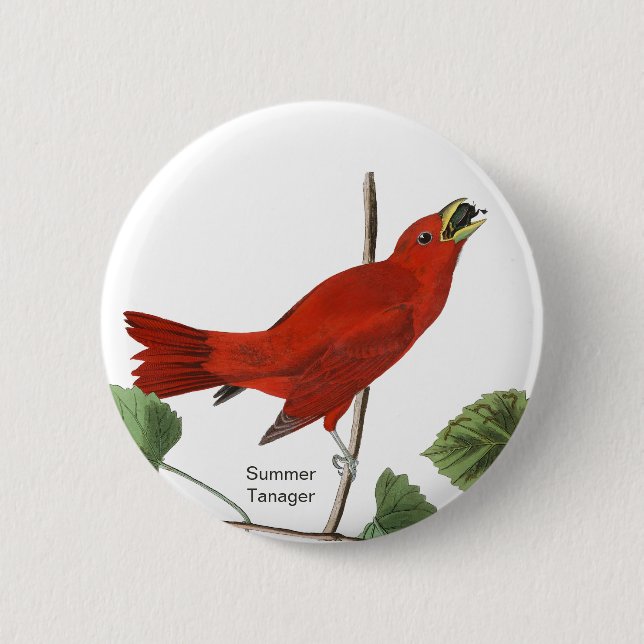 Badge Rond 5 Cm Tanager d'été, Audubon Red Bird, Birdwatcher Bird (Devant)