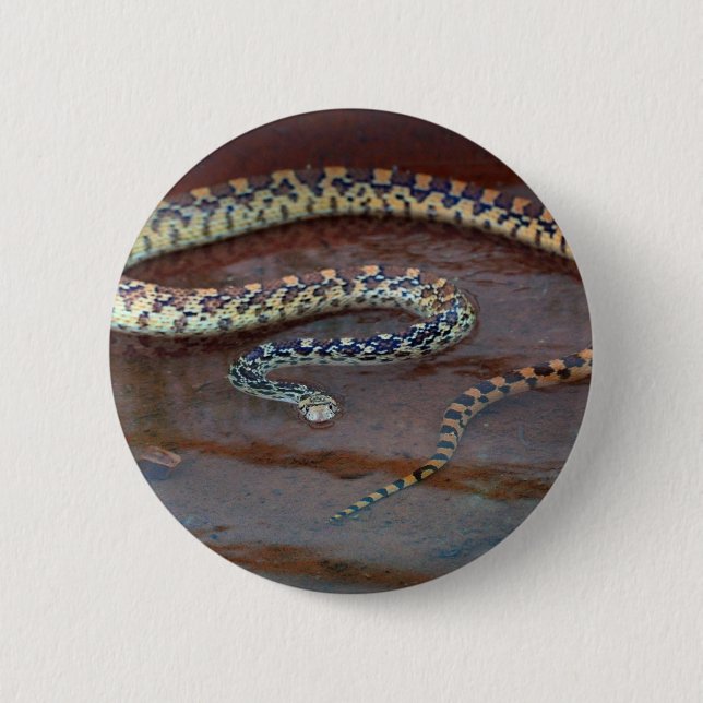 Badge Rond 5 Cm Taureau (Devant)
