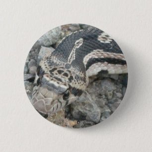 Badge Rond 5 Cm Taureau (Pituophis catenifer sayi)