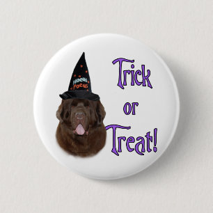 Badge Rond 5 Cm Terre-Neuve (brun) Trick