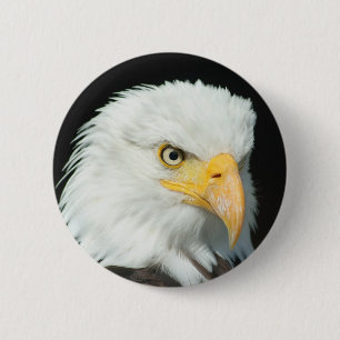 Badge Rond 5 Cm Tête d'aigle