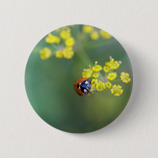Badge Rond 5 Cm tête sur la coccinelle