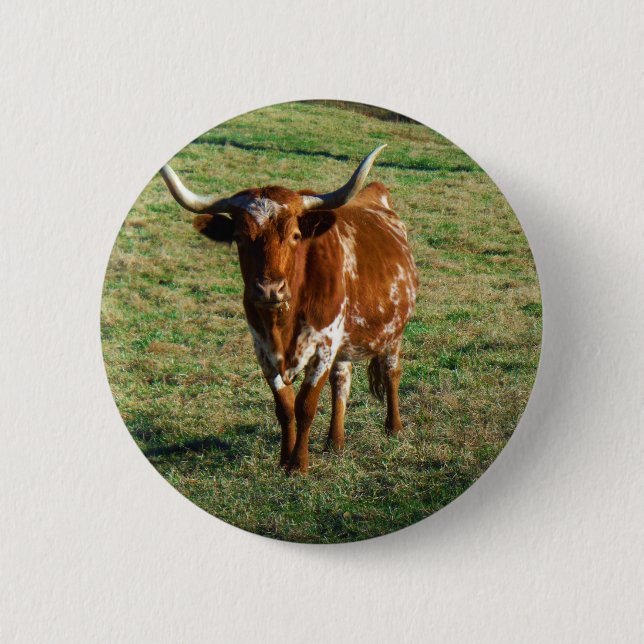 Badge Rond 5 Cm Texas Longhorn Cattle Cow Photo Russe (Devant)