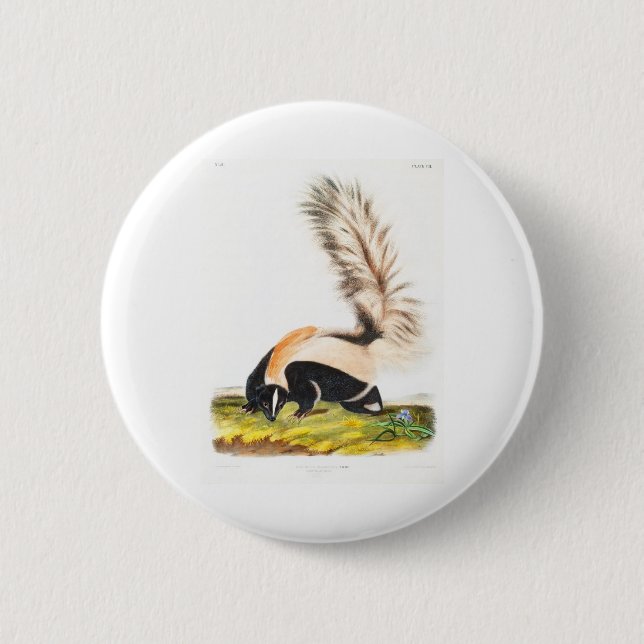 Badge Rond 5 Cm the viviviparous quadrupeds by John James Audubon (Devant)