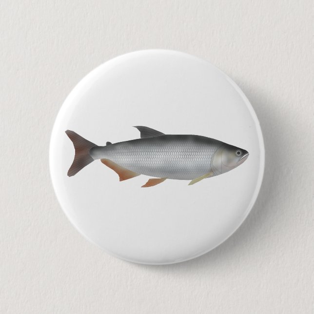 Badge Rond 5 Cm Tiete tetra (Devant)