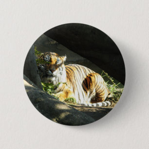 Badge Rond 5 Cm Tiger Catnap