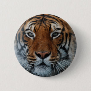 Badge Rond 5 Cm Tiger Chat Stripes Jungle Mist Animal