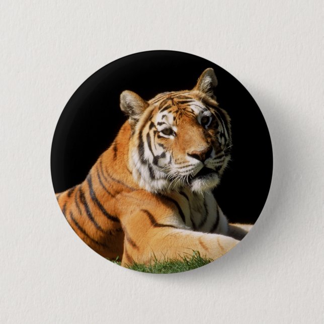 Badge Rond 5 Cm Tiger Closeup (Devant)