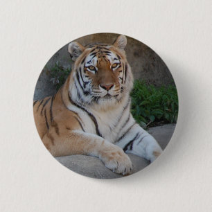 Badge Rond 5 Cm Tiger Love